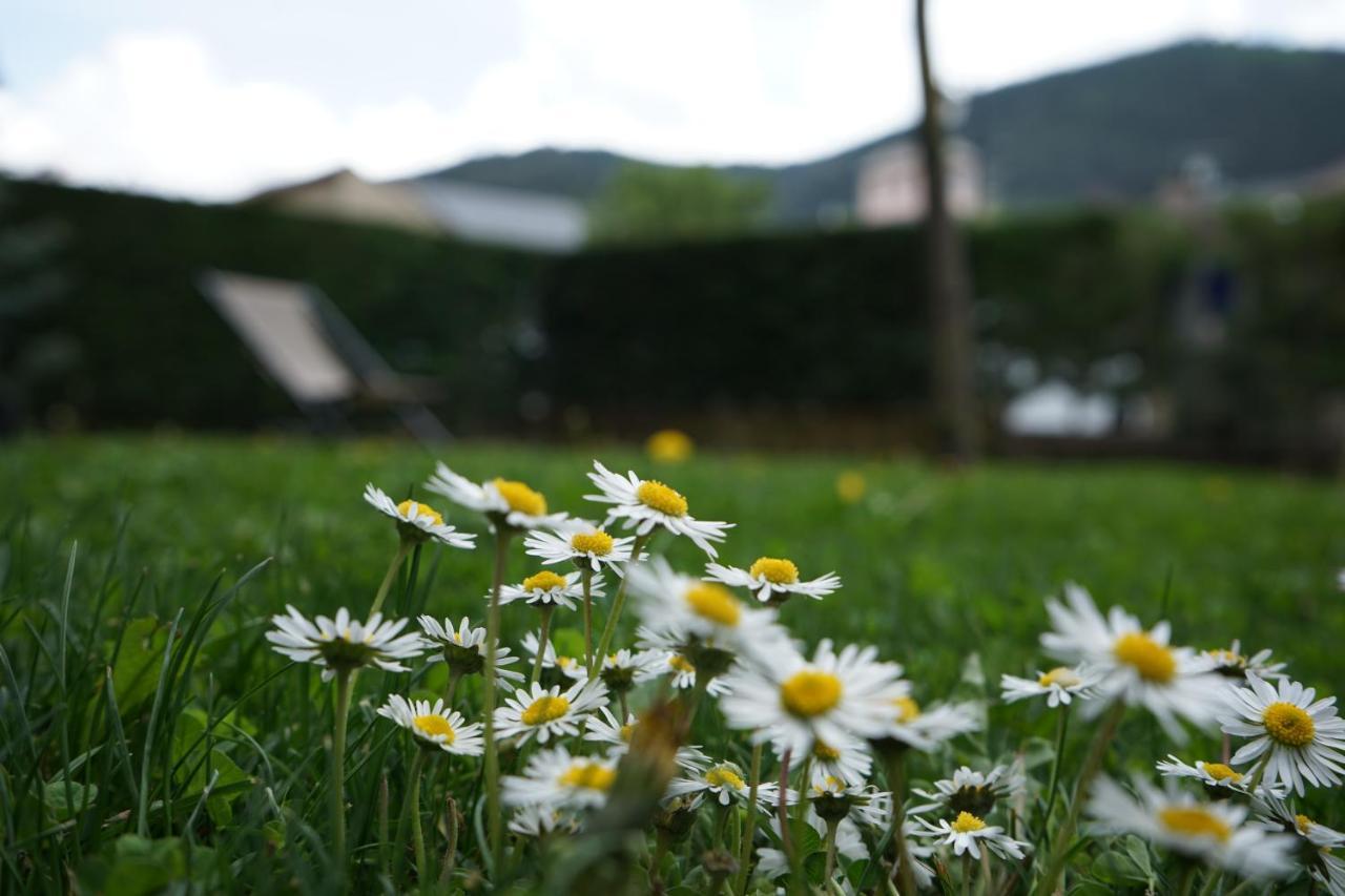 Apartamento Con Jardin En La Cerdanya Err Exterior foto